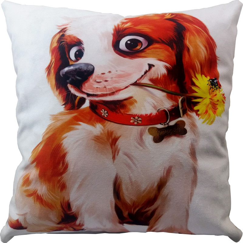 پاف  مدل S4-10045 خانمان مدل 304642